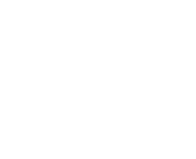 Novel idea inc